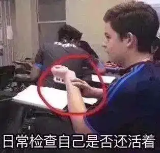 致在宁波打拼的年轻人枸杞红枣保温杯,中年危机,佛系养生文末福利
