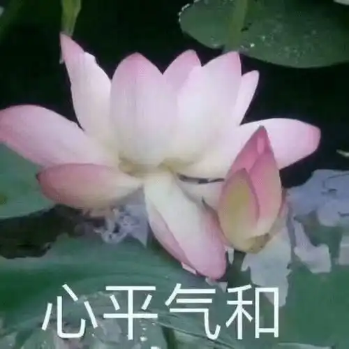 一年中最凶险的28天来了,四大隐匿杀手丰都人需警惕
