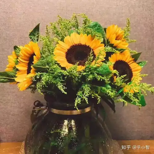 插向日葵鲜花用什么花瓶最适合
