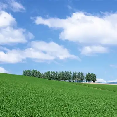 绿色风景头像最美北海道风光18张
