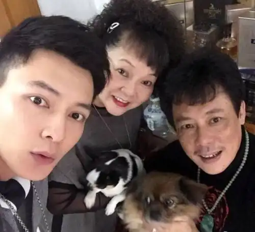 他是娱乐圈的第二个陈冠希,与古力娜扎张馨予全都有过绯闻
