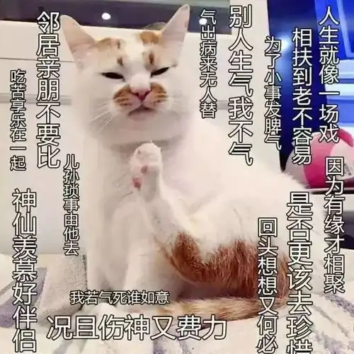 普通女友vs佛系女友,你会选哪个
