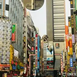 东京镰仓9日佛系旅行
