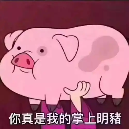 室友观察日记,佛系男孩or猪猪女孩
