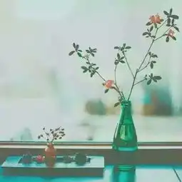 h.卡布启皇照片h.卡布启皇相册大全yy官方
