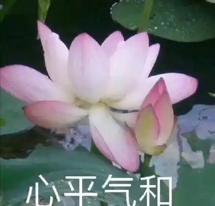 萌新玩家送200元礼物给师父,错把拼车当回礼就该被人组团冤枉
