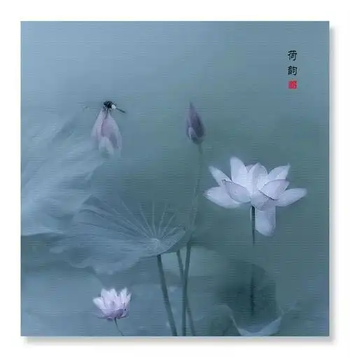 佛国生莲花荷韵意清远
