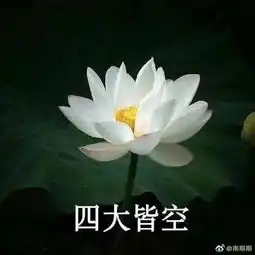 一头拱别人屁股上是什么体验当时就崩了
