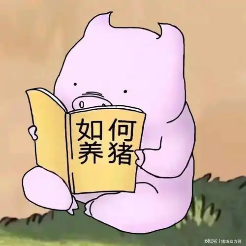 最高9.75元全国猪价上涨国家发改委未来猪价有望反弹
