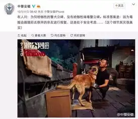 佛系大毒枭刘招华背后传奇的故事我的30吨毒品,只卖给外国人,不祸害中国人
