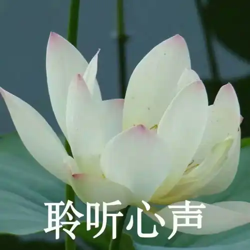 搞笑文字控相亲相爱一家人,隔着屏幕都能感受到浓浓的爱意
