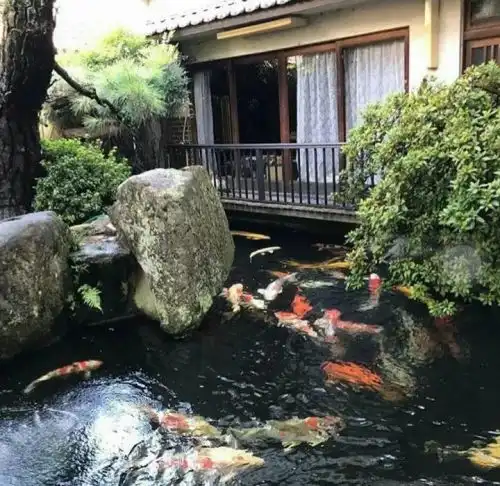 原来这么简单就可以让鱼池高大上
