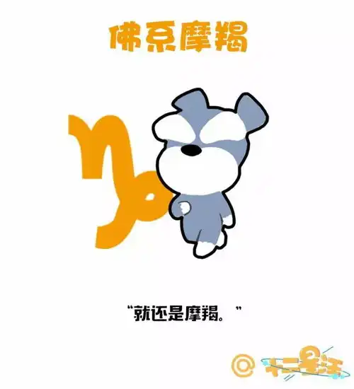 第一批佛系12星座已经诞生

