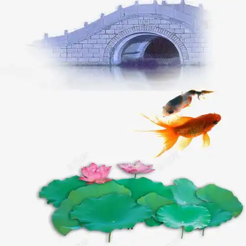 中国风桥锦鲤荷花合集高清素材免抠设计图片免费下载页面网页平面电商创意素材png素材桥素材
