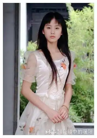 刘诗诗婚变背后女方太佛系,男方被全家压榨,生活一地鸡毛
