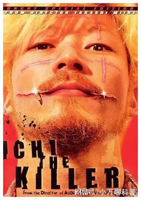 十大暴力美学电影

