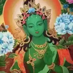傻鲨尼tsesangpo转发的美拍
