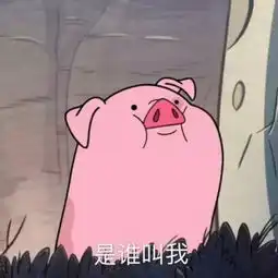 猪年说猪丨薄荷猪的故事潜伏在身边的猪菩萨
