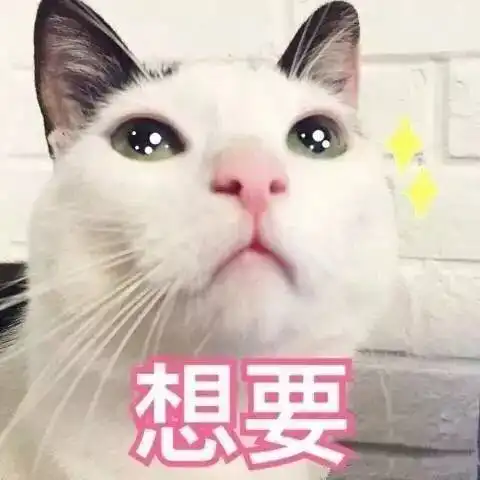 开心一笑开车出去旅游,半路上儿子要撒尿,可是附近没厕所,于是让儿子...
