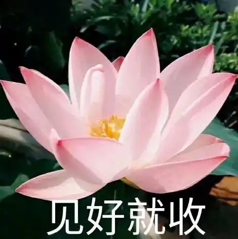 财富通吉他弹药被扫货一发中型炮弹卖到7wisk
