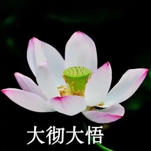 男生佛系图片微信头像香烛