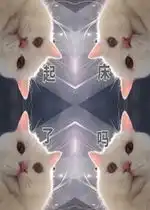 我接受不了的表情包图片起床了吗表情包下载乐游网游戏下载
