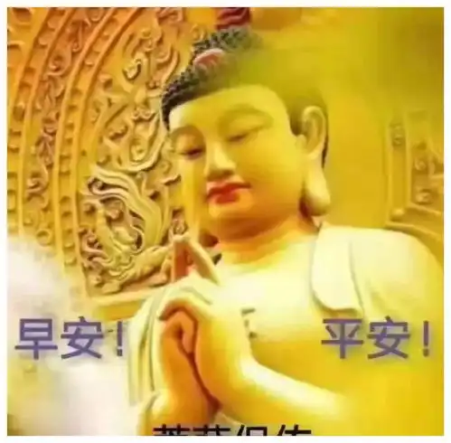 发朋友圈早安吉祥问候语表情图片,12句治愈系情感句子
