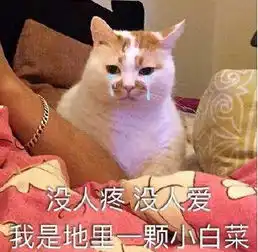 无论几岁,都需要甜甜的爱情
