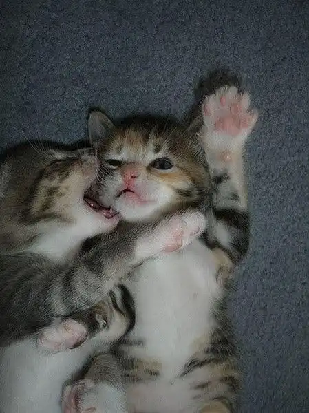 oh,help
