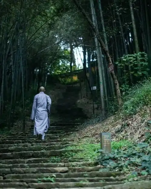 专门为了吃美食而去寺院盘点杭州寺院都隐藏了哪些美食

