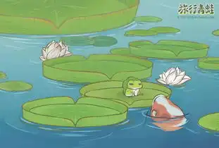 佛山最in网红展览佛系生活研究所火热开幕荷花
