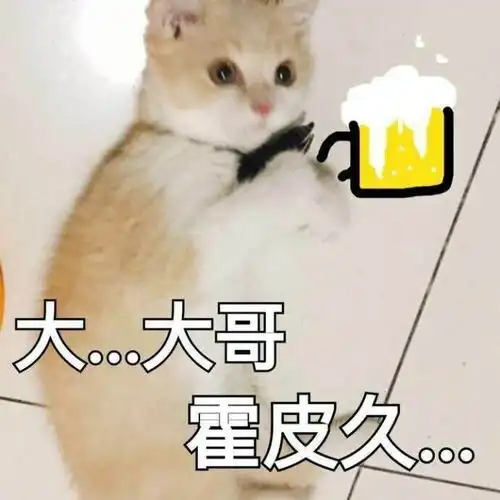 挥别热血又逗比的18岁之后,佛系8090后应该做点啥
