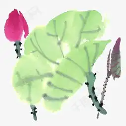 荷花素材图片免费下载高清png千库网图片编号4089595
