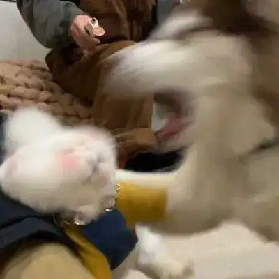 有个佛系的男朋友是什么体验
