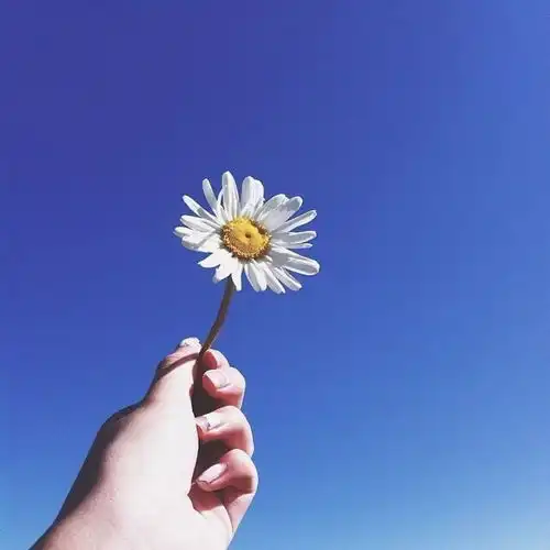 蓝色系女生头像
