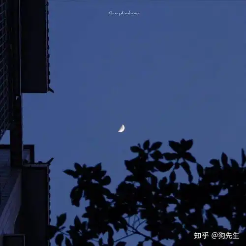 有哪些值得收藏的句子
