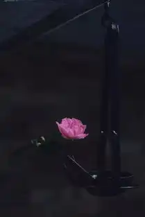 插花意境
