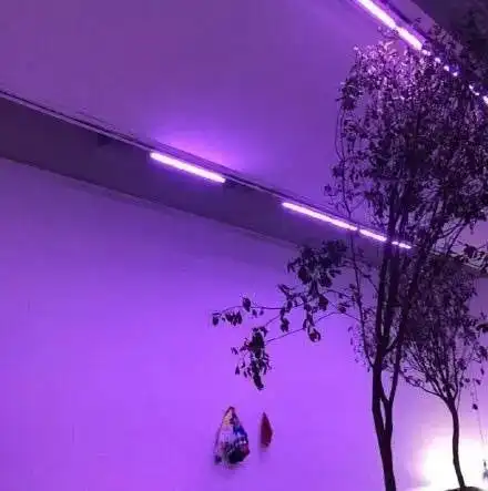 头像壁纸临别之际,请听我说

