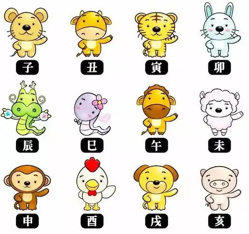 2019年,十二生肖穿什么颜色财运最旺
