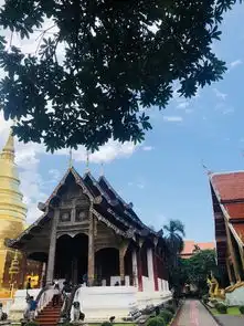清迈行之佛系游
