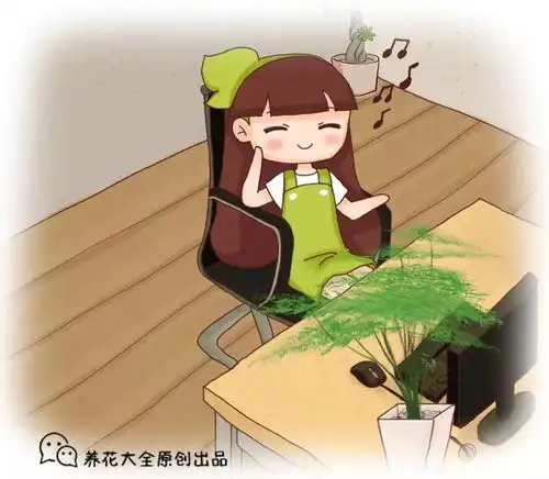 文竹剪两刀,养成巨无霸,爬满整面墙
