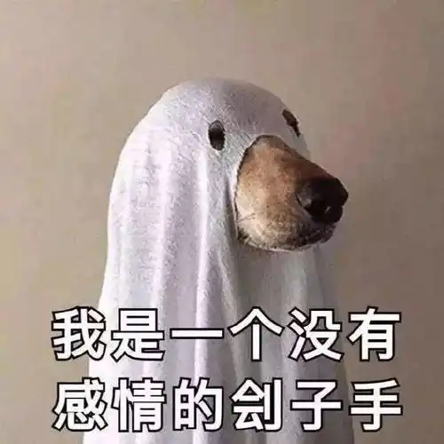 金毛犬被主人抛弃,跨越千里,千辛万苦寻到主人,然后咬了他一口报仇
