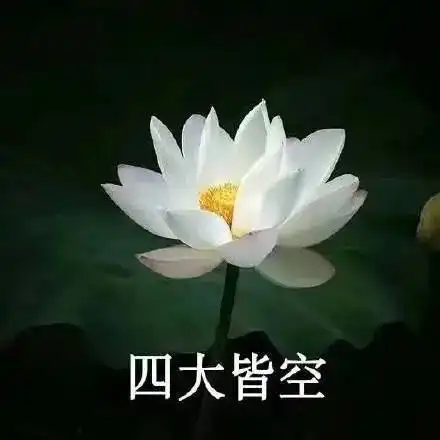 超级土味表情包
