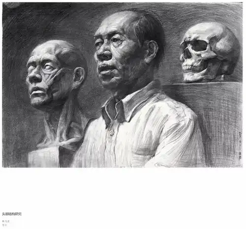 考广美,看这里广美基础部留校作品150张建议收藏
