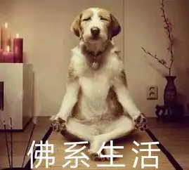90后佛系养生法表情图片下载90后佛系养生法图片大全高清无水印极光下载站
