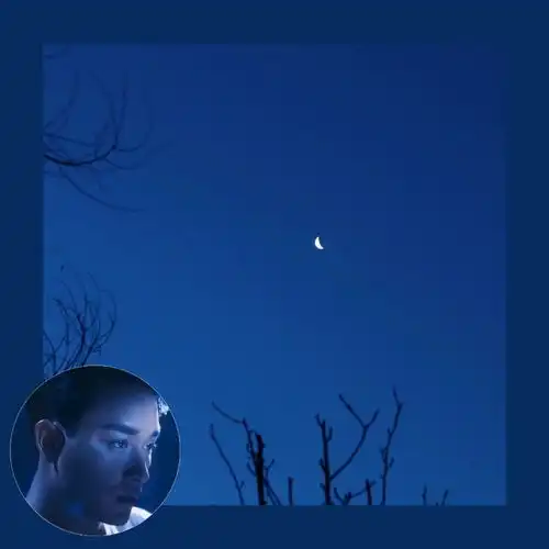0117套图分享头像背景系列张先生好好休息
