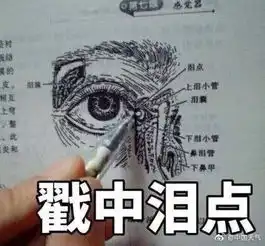 北京的雪请你争气一点
