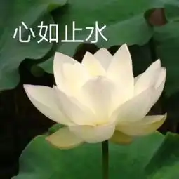 当代父母的微信迷惑大赏

