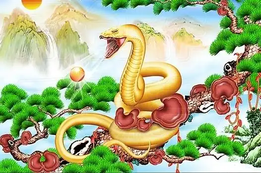 6月开门就有好消息,4生肖薪水涨,职位升,生活过得舒心顺意
