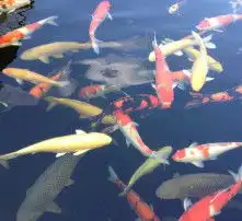 黄页88高清图片
